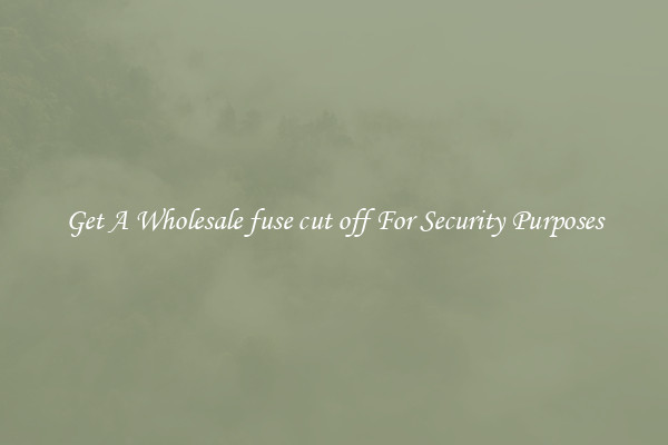 Get A Wholesale fuse cut off For Security Purposes