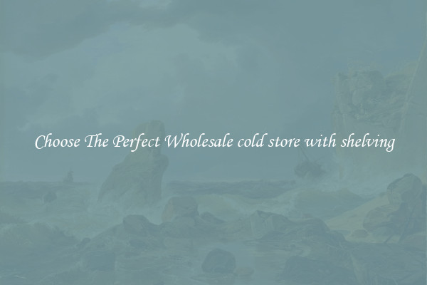 Choose The Perfect Wholesale cold store with shelving