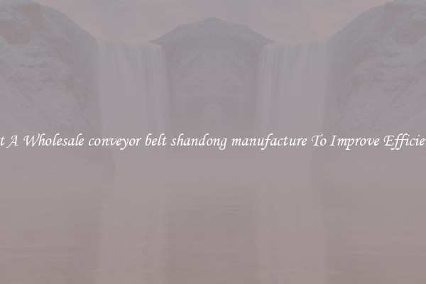 Get A Wholesale conveyor belt shandong manufacture To Improve Efficiency