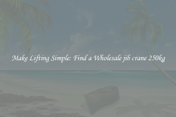 Make Lifting Simple: Find a Wholesale jib crane 250kg