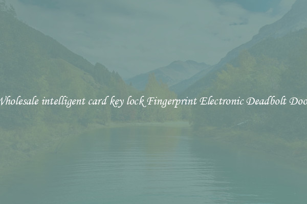 Wholesale intelligent card key lock Fingerprint Electronic Deadbolt Door 