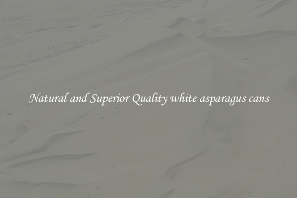 Natural and Superior Quality white asparagus cans