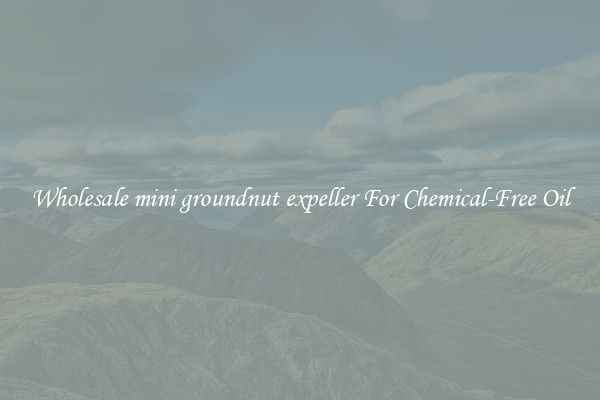 Wholesale mini groundnut expeller For Chemical-Free Oil