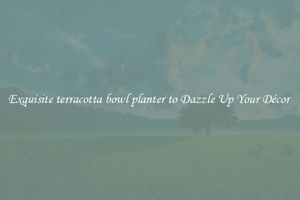 Exquisite terracotta bowl planter to Dazzle Up Your Décor 