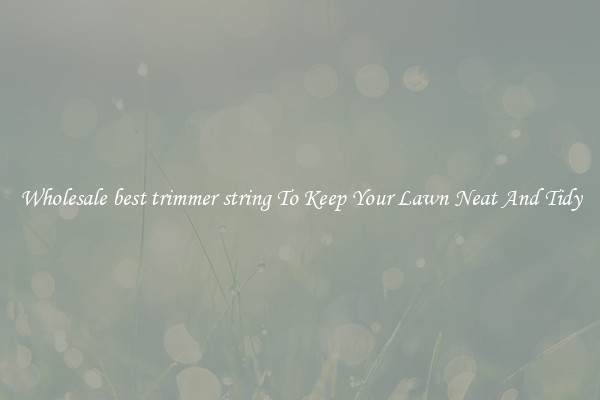 Wholesale best trimmer string To Keep Your Lawn Neat And Tidy