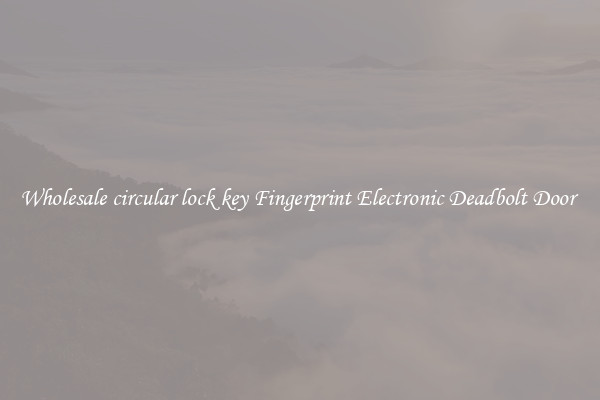 Wholesale circular lock key Fingerprint Electronic Deadbolt Door 