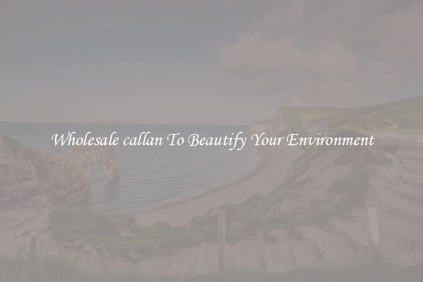 Wholesale callan To Beautify Your Environment