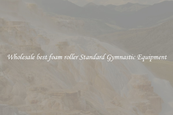 Wholesale best foam roller Standard Gymnastic Equipment