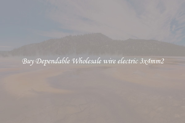 Buy Dependable Wholesale wire electric 3x4mm2