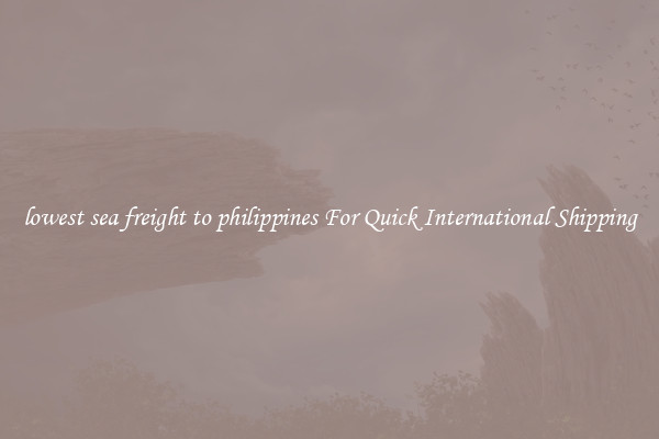 lowest sea freight to philippines For Quick International Shipping