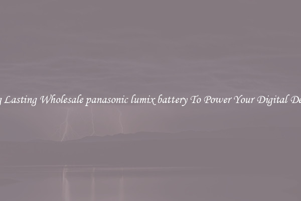 Long Lasting Wholesale panasonic lumix battery To Power Your Digital Devices