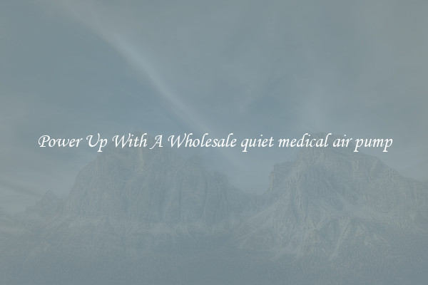 Power Up With A Wholesale quiet medical air pump