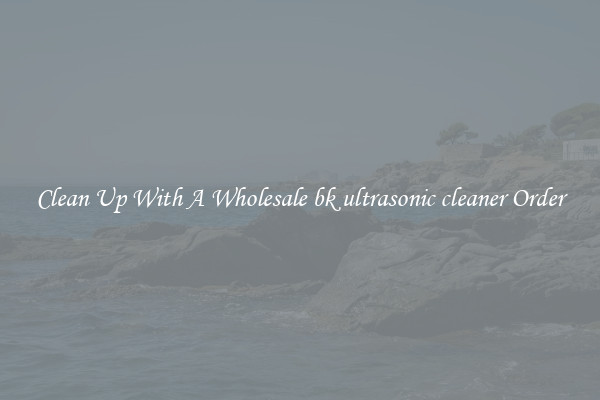 Clean Up With A Wholesale bk ultrasonic cleaner Order