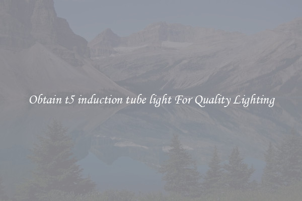 Obtain t5 induction tube light For Quality Lighting