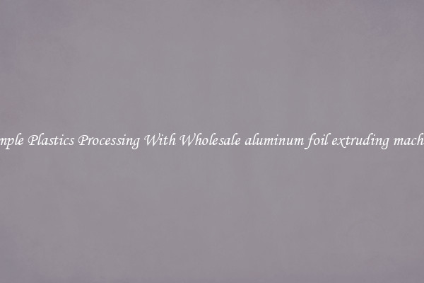 Simple Plastics Processing With Wholesale aluminum foil extruding machine