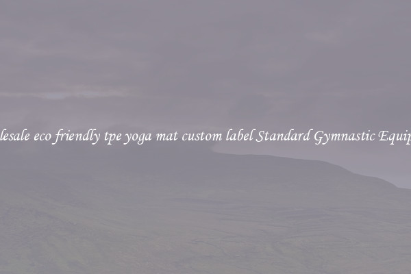 Wholesale eco friendly tpe yoga mat custom label Standard Gymnastic Equipment