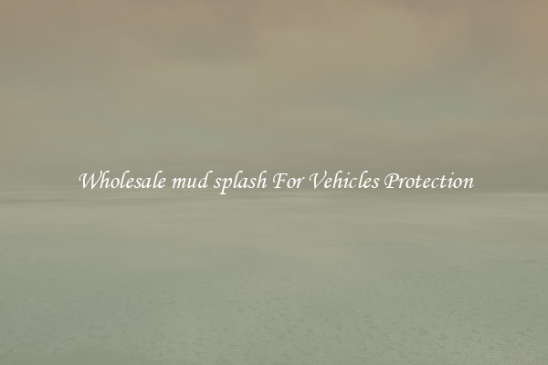 Wholesale mud splash For Vehicles Protection