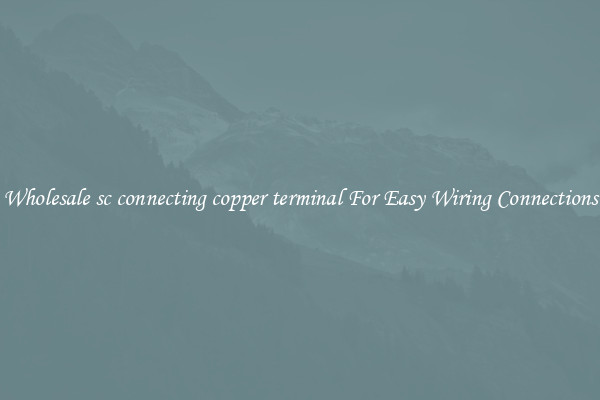 Wholesale sc connecting copper terminal For Easy Wiring Connections