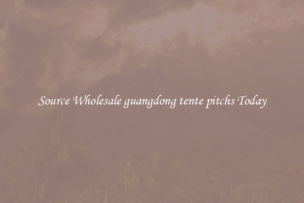 Source Wholesale guangdong tente pitchs Today