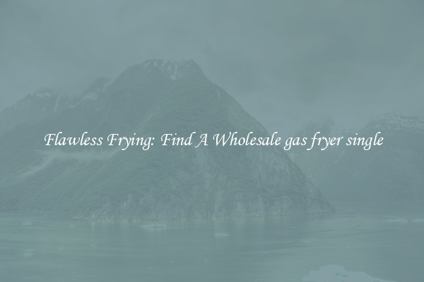 Flawless Frying: Find A Wholesale gas fryer single